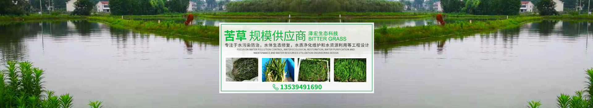 湖南澤宏生態(tài)科技有限公司_長沙水環(huán)境流域生態(tài)治理|長沙水污染防治|長沙水體生態(tài)修復(fù)